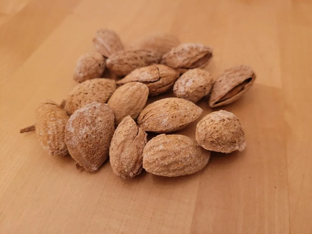 mandorle in guscio salate